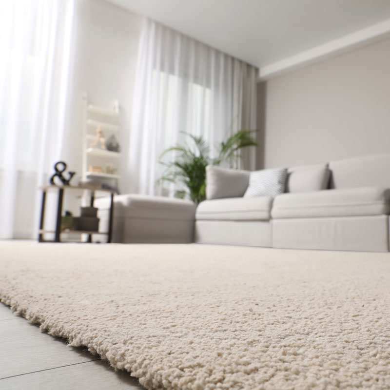 carpet and a couch